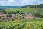 Champagne Tour