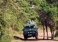 6 days privates camping Tarangire, Serengeti, Ngorongoro & Lake Manyara