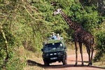 6 days privates camping Tarangire, Serengeti, Ngorongoro & Lake Manyara