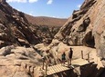 Fuerteventura South Private Tour