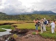 Ngoro Ngoro Crater Day Tour