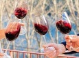 Douro Valley - Wine Experience with a Sommelier