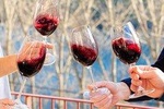 Douro Valley - Wine Experience with a Sommelier