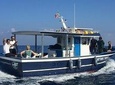 Fishing tourism boat tour snorkeling observe cetaceans