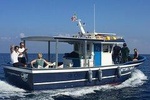 Fishing tourism boat tour snorkeling observe cetaceans