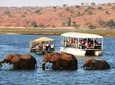Chobe Full Day Trip
