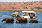 Chobe Full Day Trip