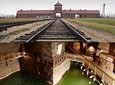 Auschwitz-Birkenau & Salt Mine: One Day Private Tour