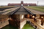 Auschwitz-Birkenau & Salt Mine: One Day Private Tour