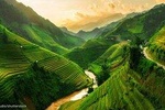 Sapa Trekking 2Days - 1Night by Bus with Homestay