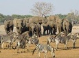 Full Day Chobe National Park Big 5 Safari