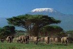 Day tour to Amboseli National Park from Nairobi