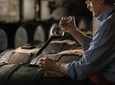 Balsamic Vinegar Experience with Private Transfer