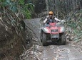 Amazing Tour Combo Including Quad bike and Giant Swing Adventure 