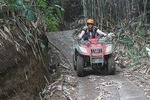 Amazing Tour Combo Including Quad bike and Giant Swing Adventure 