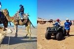  Essaouira / 2H in Quad + 2H Dromedary ride