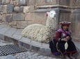 Private Half Day City Tour of Cusco