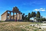Paestum Temples and Buffalo Farm from Sorrento