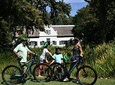 Franschhoek Experience Half Day - Private Tour