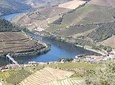 Foz Côa and Douro. Be enchanted by rock carvings and drink the best wines
