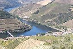 Foz Côa and Douro. Be enchanted by rock carvings and drink the best wines