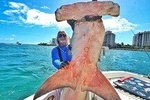 Half or Full-Day Option Deep Sea Fishing Charters and Tours Big Game
