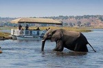 5 Day Chobe National Park Accommodated Tour Safari