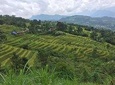 Ha Giang Loop 4 Day trip with Easy Rider