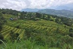 Ha Giang Loop 4 Day trip with Easy Rider