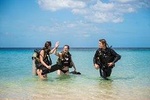 Open Water Diver Course at Blue Bay Dive in Curacao