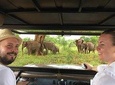 Udawalawe safari with Elephant transit home 
