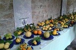 Guided tour La Limonaia Del Garda Lake