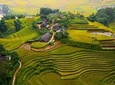 Sapa Trekking 3days - 2night by Bus with 1night homestay & 1night hotel