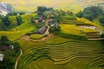 Sapa Trekking 3days - 2night by Bus with 1night homestay & 1night hotel