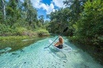 2-Hour Glass Bottom Guided Kayak Eco Tour in Rock Springs (Small-Group)