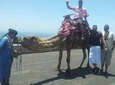 Agadir Camel Riding 