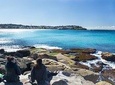 Kiama South Coast Tour with Coastline, Farmlands, Aboriginal Engravings & Lunch
