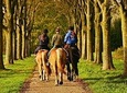 Umbria - Horse Riding Through The Wonderful Valleys Of Umbria, Lunch Included