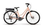 Full-Day Electric Bike Rental in Québec City
