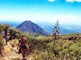 Santa Ana Volcano Hiking Tour and Coatepeque Lake visit