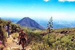 Santa Ana Volcano Hiking Tour and Coatepeque Lake visit
