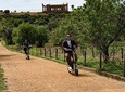 Electric scooter tour inside the Valley of the Temples Agrigento