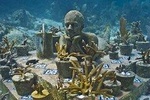 Snorkelling Adventure at Isla Mujeres Includes Lunch and Open Bar