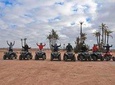 Half-Day Palm grove desert Quad & Camel Tour