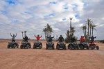 Half-Day Palm grove desert Quad & Camel Tour