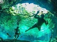 3 Cenotes Tour