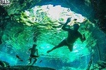 3 Cenotes Tour