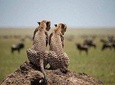 Serengeti & Ngorongoro 3 Days Group Safari