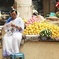 Goa City Tour from Pier