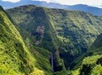 Hiking: Discover a unique rain forest in Bélouve.